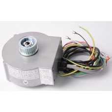 NBSL YTJ031-13 DOOR MOTOR